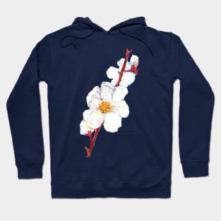 sakura flowers Hoodie